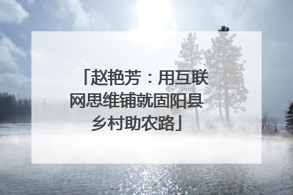 赵艳芳：用互联网思维铺就固阳县乡村助农路