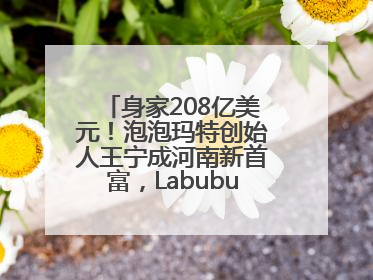 身家208亿美元！泡泡玛特创始人王宁成河南新首富，Labubu热销推涨股价