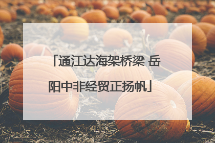 通江达海架桥梁 岳阳中非经贸正扬帆