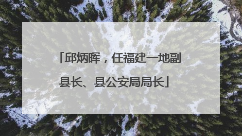 邱炳晖，任福建一地副县长、县公安局局长