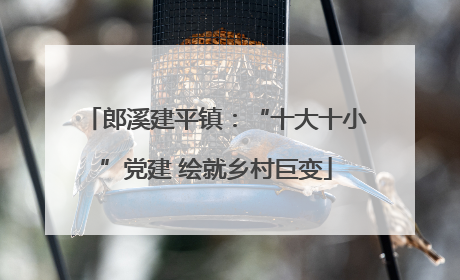 郎溪建平镇：“十大十小”党建 绘就乡村巨变