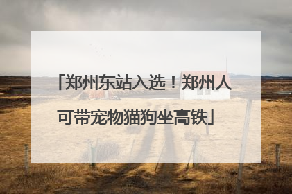 郑州东站入选！郑州人可带宠物猫狗坐高铁