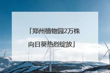 郑州植物园2万株向日葵热烈绽放