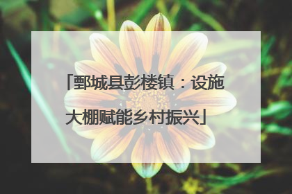 鄄城县彭楼镇：设施大棚赋能乡村振兴