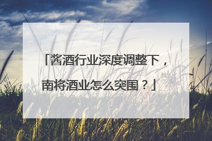 酱酒行业深度调整下，南将酒业怎么突围？
