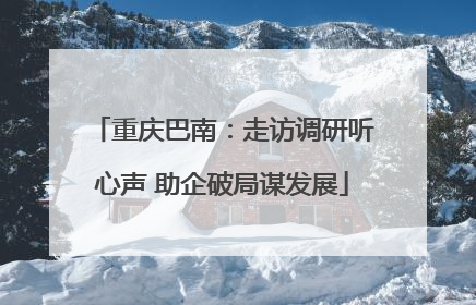 重庆巴南：走访调研听心声 助企破局谋发展