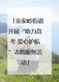金家岭街道开展“助力高考 爱心护航”志愿服务活动