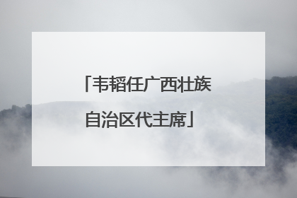 韦韬任广西壮族自治区代主席