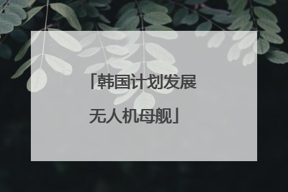韩国计划发展无人机母舰