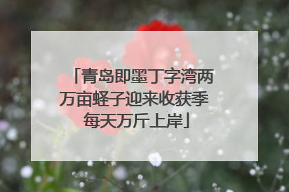 青岛即墨丁字湾两万亩蛏子迎来收获季 每天万斤上岸