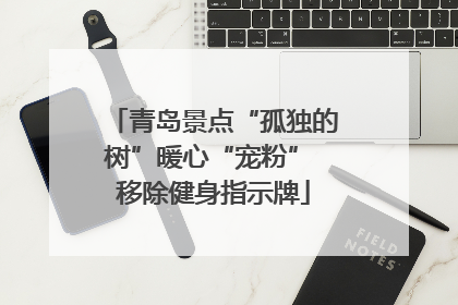 青岛景点“孤独的树”暖心“宠粉” 移除健身指示牌