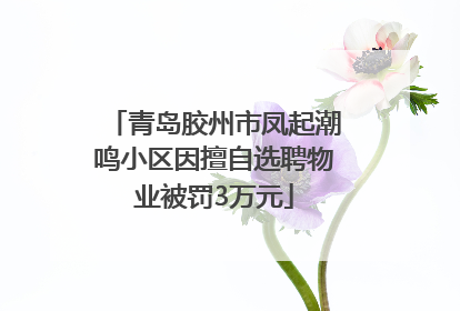 青岛胶州市凤起潮鸣小区因擅自选聘物业被罚3万元