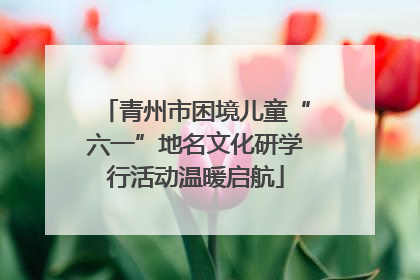 青州市困境儿童“六一”地名文化研学行活动温暖启航