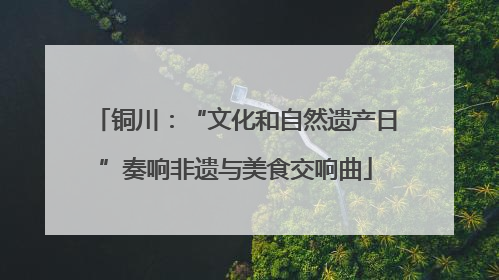 铜川：“文化和自然遗产日”奏响非遗与美食交响曲