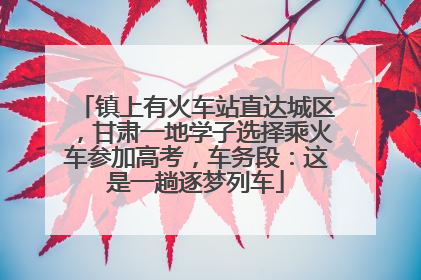 镇上有火车站直达城区，甘肃一地学子选择乘火车参加高考，车务段：这是一趟逐梦列车