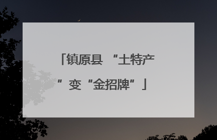 镇原县 “土特产”变“金招牌”