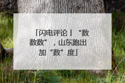 闪电评论丨“数数数”，山东跑出加“数”度