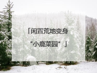 闲置荒地变身“小鹿菜园”