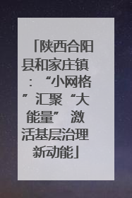 陕西合阳县和家庄镇：“小网格”汇聚“大能量” 激活基层治理新动能