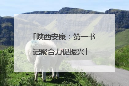 陕西安康：第一书记聚合力促振兴
