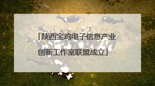 陕西宝鸡电子信息产业创新工作室联盟成立