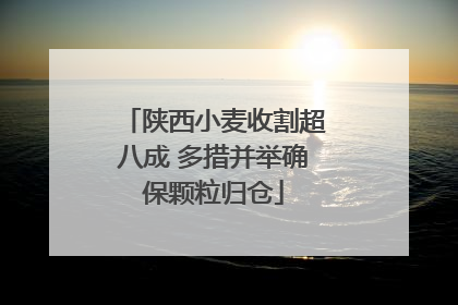 陕西小麦收割超八成 多措并举确保颗粒归仓