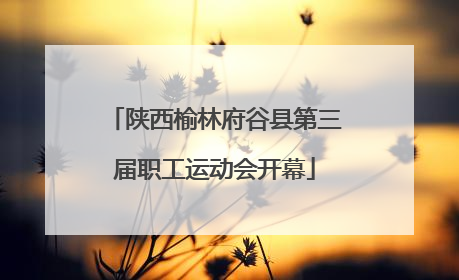 陕西榆林府谷县第三届职工运动会开幕