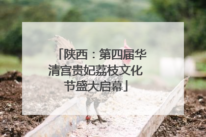 陕西：第四届华清宫贵妃荔枝文化节盛大启幕