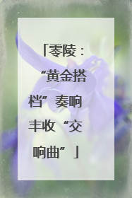零陵：“黄金搭档”奏响丰收“交响曲”