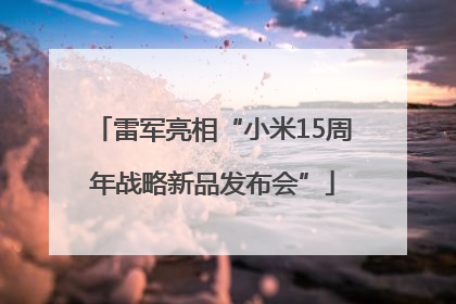 雷军亮相“小米15周年战略新品发布会”