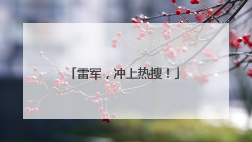 雷军，冲上热搜！