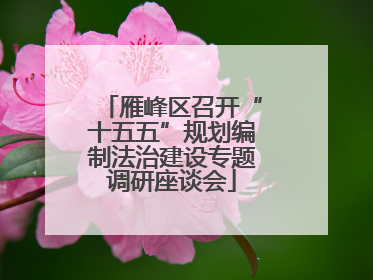 雁峰区召开“十五五”规划编制法治建设专题调研座谈会