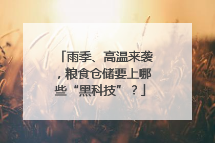 雨季、高温来袭，粮食仓储要上哪些“黑科技”？