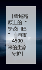雪域高原上的“宁波门巴”：海拔4500米的生命守护