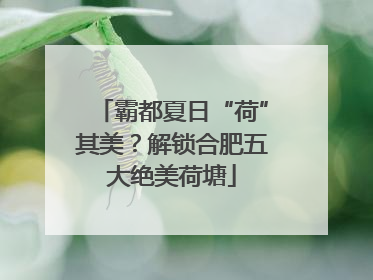 霸都夏日“荷”其美？解锁合肥五大绝美荷塘