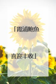 霞浦鲍鱼喜迎丰收