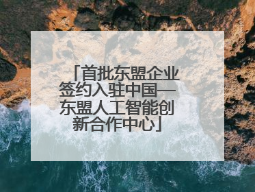 首批东盟企业签约入驻中国—东盟人工智能创新合作中心