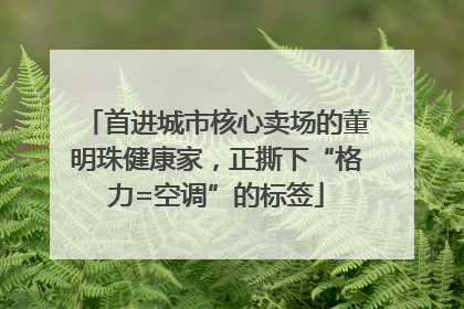 首进城市核心卖场的董明珠健康家，正撕下“格力=空调”的标签