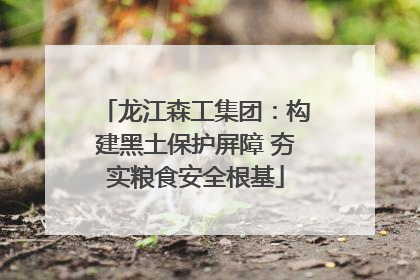 龙江森工集团：构建黑土保护屏障 夯实粮食安全根基
