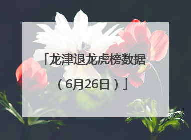 龙津退龙虎榜数据（6月26日）