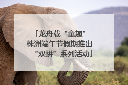 龙舟载“童趣” 株洲端午节假期推出“双拼”系列活动