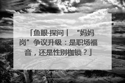 鱼眼·探问丨 “妈妈岗”争议升级：是职场福音，还是性别枷锁？