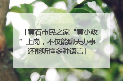 黄石市民之家“黄小政”上岗，不仅能聊天办事还能听懂多种语言