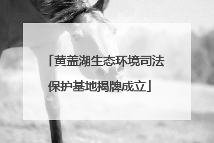 黄盖湖生态环境司法保护基地揭牌成立