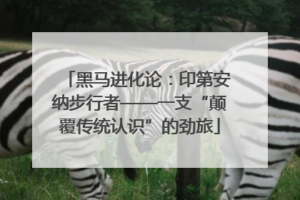 黑马进化论：印第安纳步行者——一支“颠覆传统认识”的劲旅