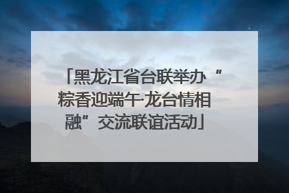 黑龙江省台联举办“粽香迎端午·龙台情相融”交流联谊活动
