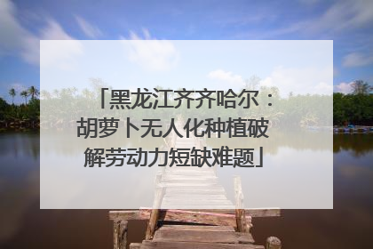 黑龙江齐齐哈尔：胡萝卜无人化种植破解劳动力短缺难题