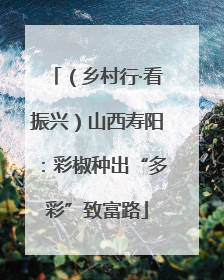 （乡村行·看振兴）山西寿阳：彩椒种出“多彩”致富路