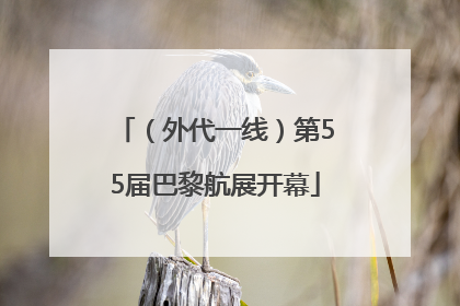 （外代一线）第55届巴黎航展开幕