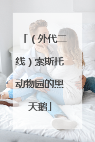 （外代二线）索斯托动物园的黑天鹅